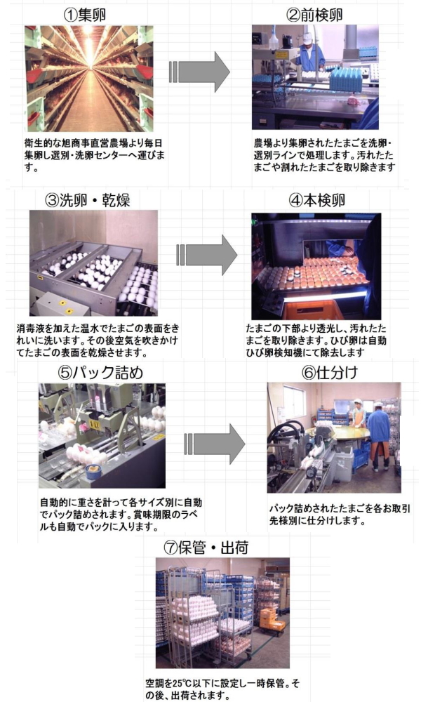 p13tamagoseizoukoutei_r