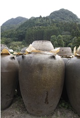 鹿児島の黒酢ドリンク　１２５ｍｌ≪ＡＢ≫_5_00109235