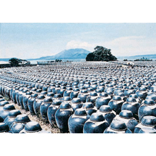 鹿児島の黒酢ドリンク　１２５ｍｌ≪ＡＢ≫_5_00129353