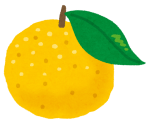 fruit_yuzu