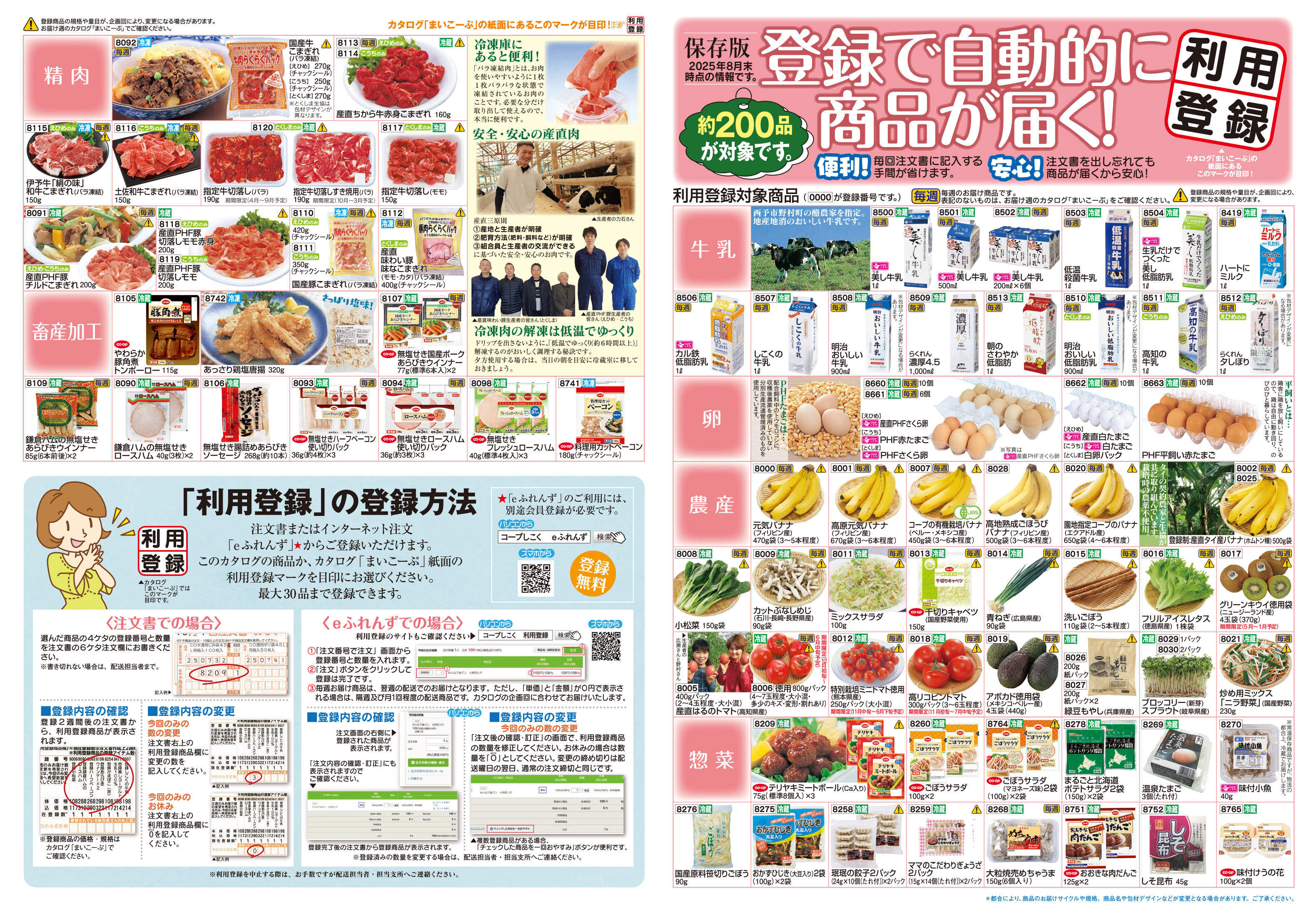 チラシ 表