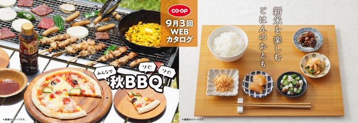 9月3回WEBカタログ